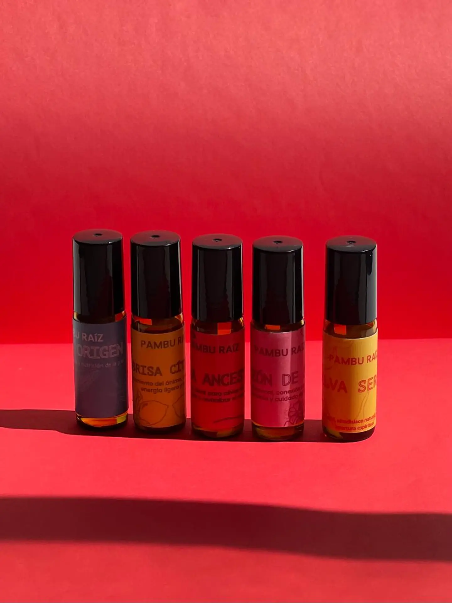 SET X5 ACEITES 3