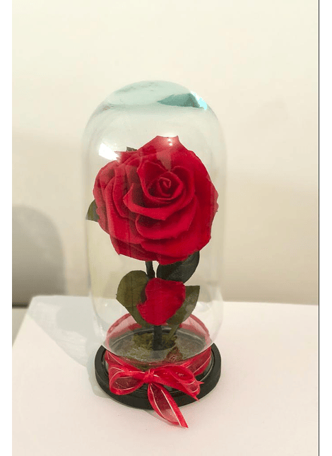 Rosa Eterna Natural - Roja