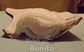 Toalla Higienica Nocturna - Miniatura 7