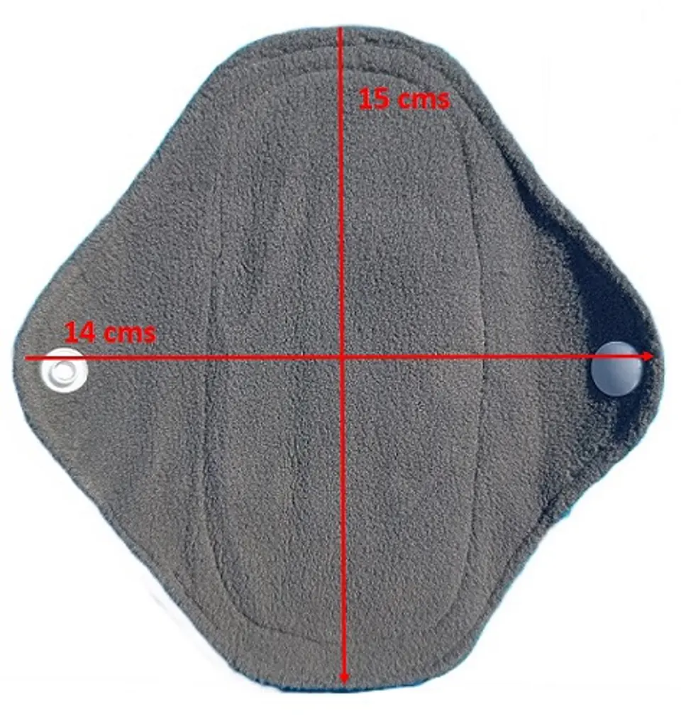 Toallas Higiénicas Protectores Diarios 2