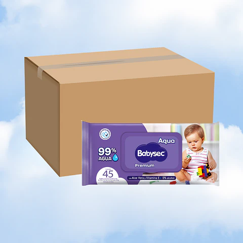 TOALLITAS HUMEDAS BABYSEC 45 - 10 UNIDADES