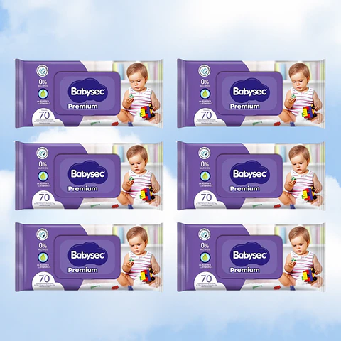 TOALLITAS HUMEDAS BABYSEC 70 - 6 UNIDADES