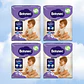 BABYSEC PREMIUM TALLA M - 80 UNIDADES - Miniatura 1