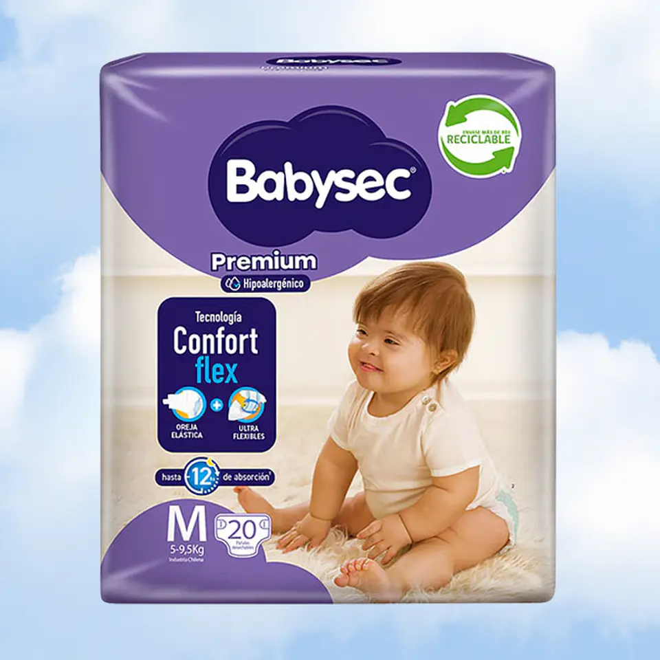 BABYSEC PREMIUM TALLA M - 80 UNIDADES 2