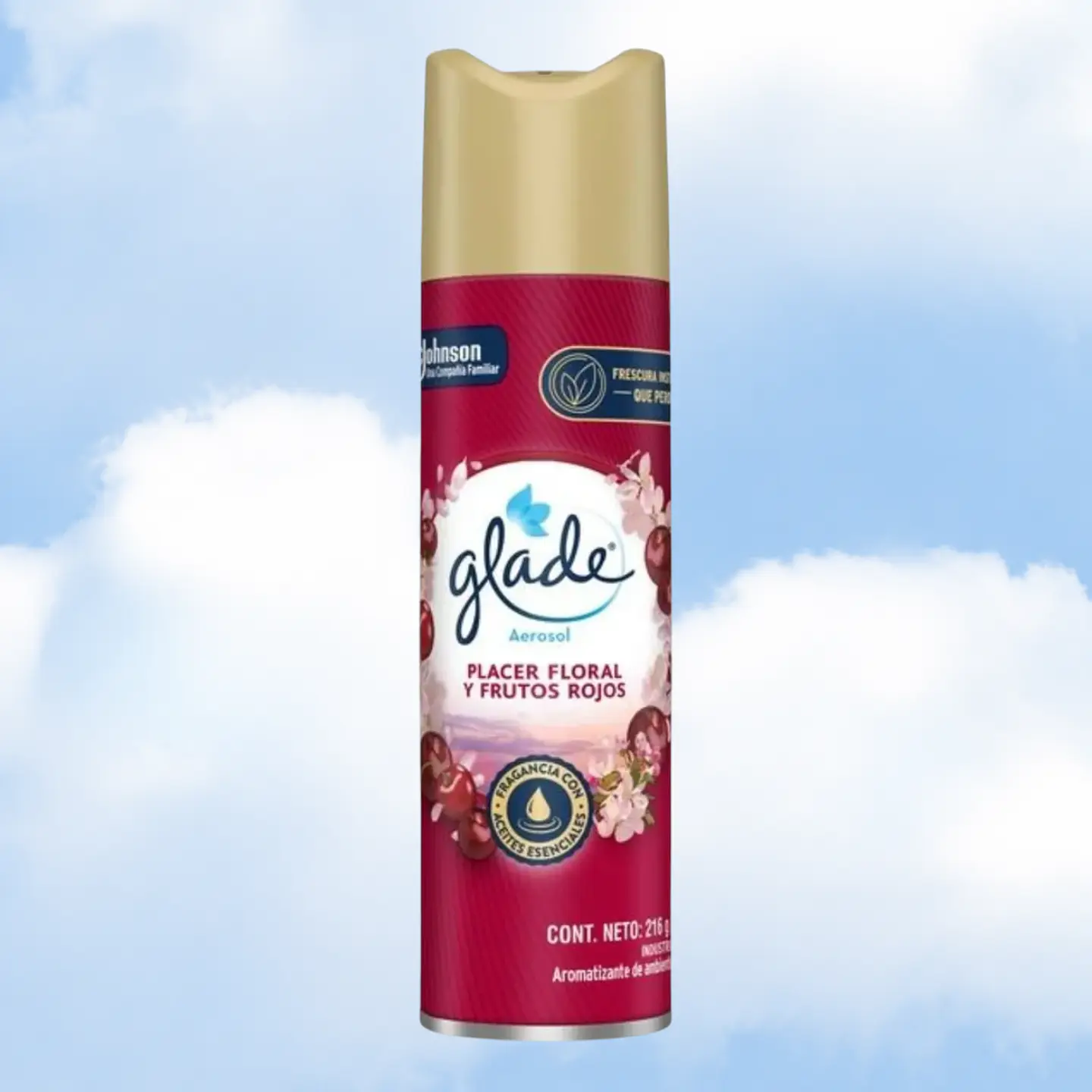 DESODORANTE AMBIENTAL GLADE - 360 CM3 PLACER FLORAL Y FRUTOS ROJOS 1