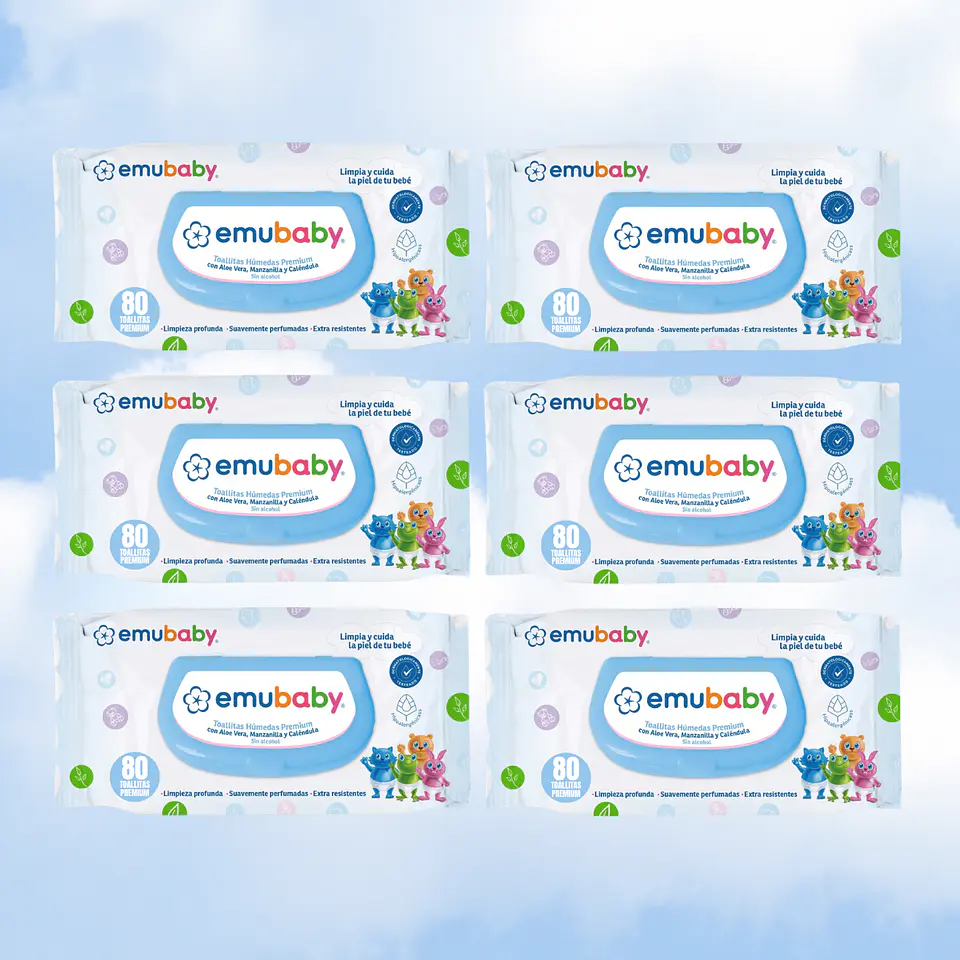 TOALLITAS HUMEDAS EMUBABY CON TAPA 80 - 6 UNIDADES 1