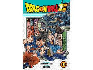 Dragon Ball Super 13
