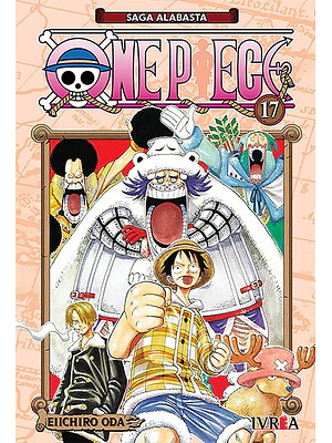 ONE PIECE 17