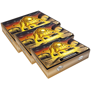 TOOLKIT PREMIUM 2024 MAGIA Y DIVINIDAD X3