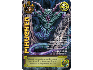  PIHUCHEN (LBPE24 - ARTE ALTERNATIVO)