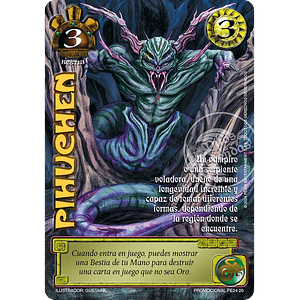  PIHUCHEN (LBPE24 - ARTE ALTERNATIVO)