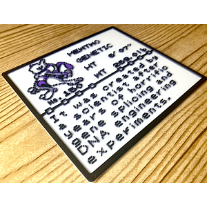 DIORAMA POKEMON VARIEDADES 1 / SCREEN GAMEBOY