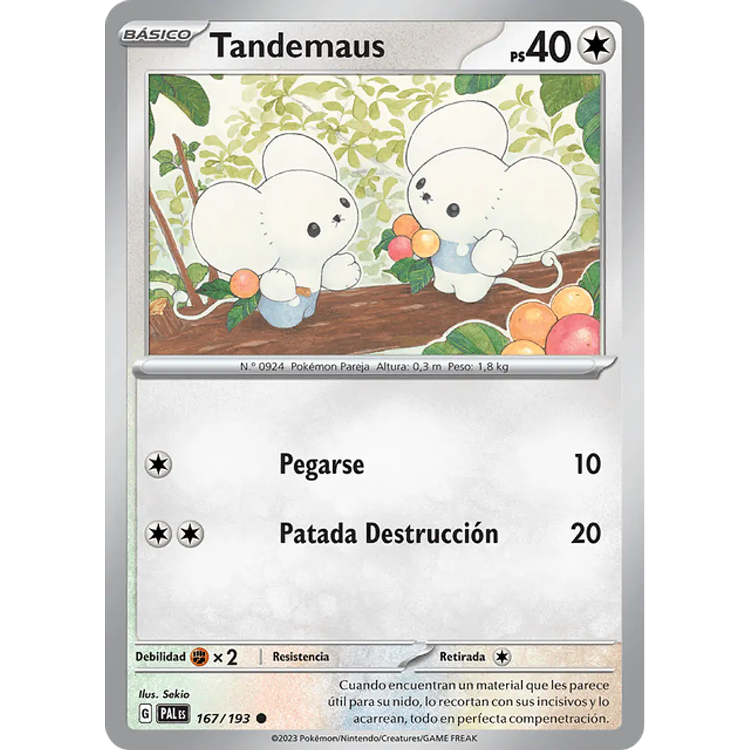 TANDEMAUS PALes 167/193 1