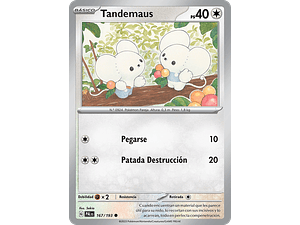 TANDEMAUS PALes 167/193