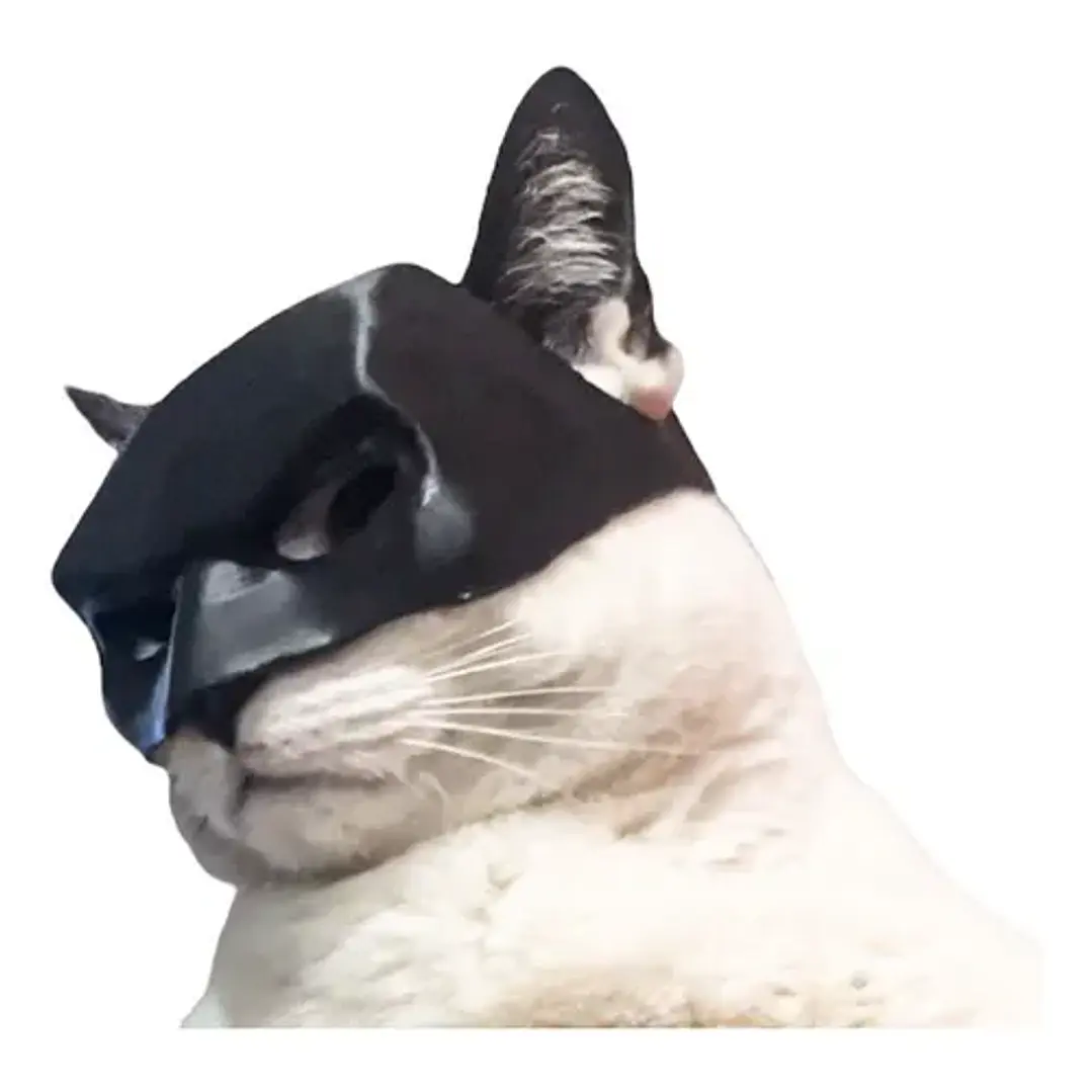 MASCARA DE BATMAN PARA GATOS 1