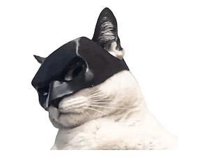 MASCARA DE BATMAN PARA GATOS