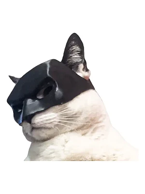 MASCARA DE BATMAN PARA GATOS