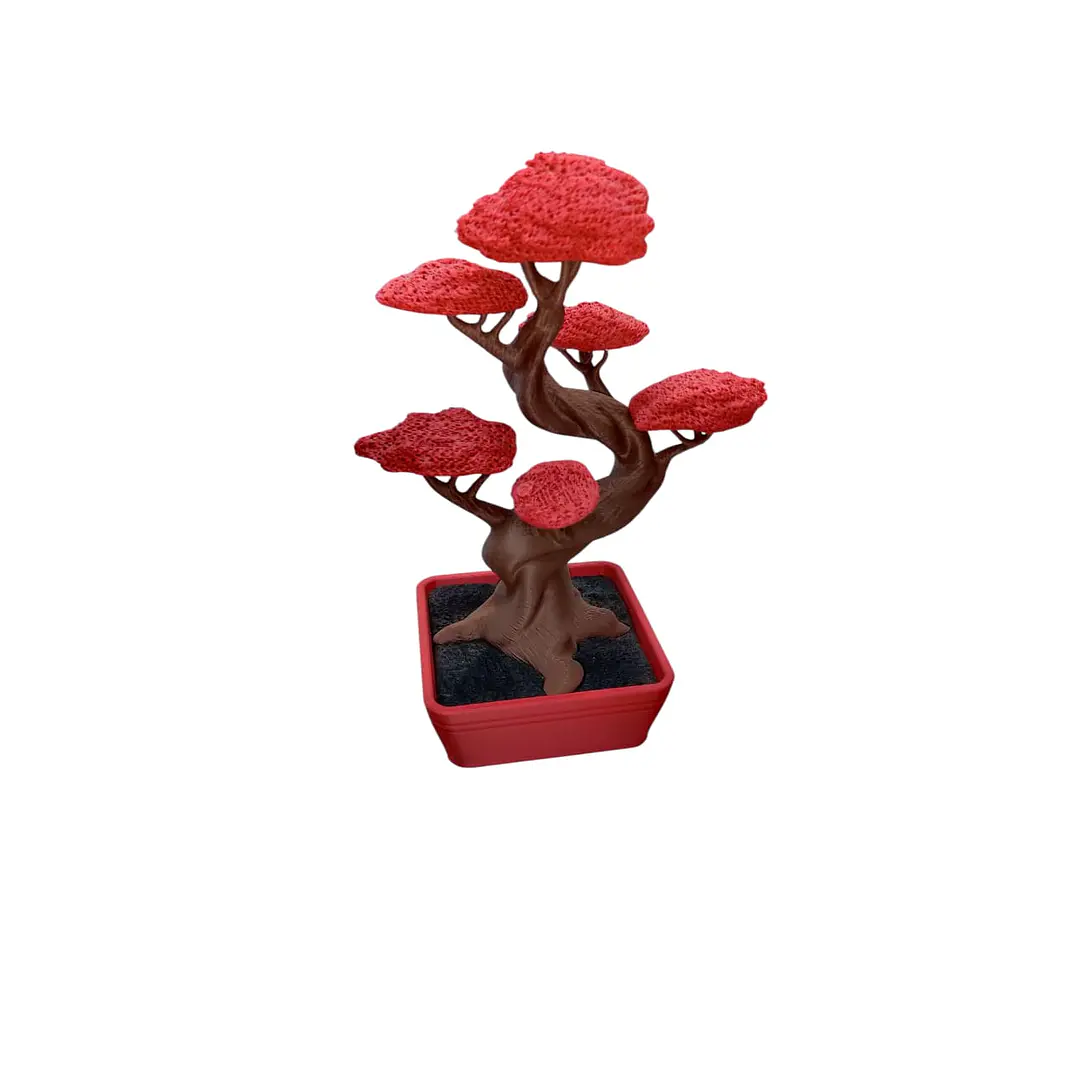 BONSAI  1
