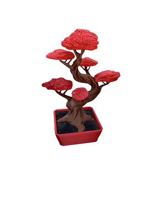 BONSAI 