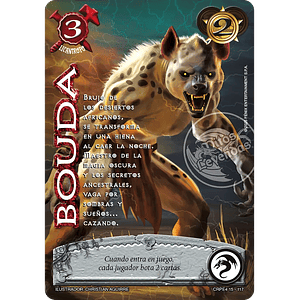 BOUDA (KIT RACIAL PE 2025)