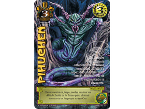 PIHUCHEN (KIT RACIAL PE 2025)