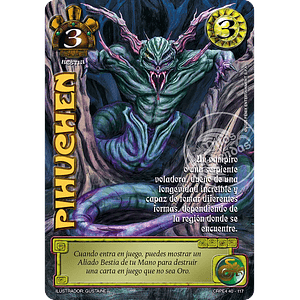 PIHUCHEN (KIT RACIAL PE 2025)