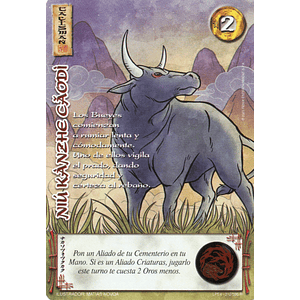 NIU KANZHE CAODI (LPE4 - REAL)