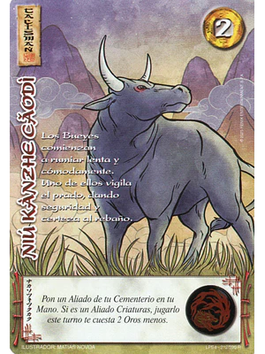 NIU KANZHE CAODI (LPE4 - REAL)