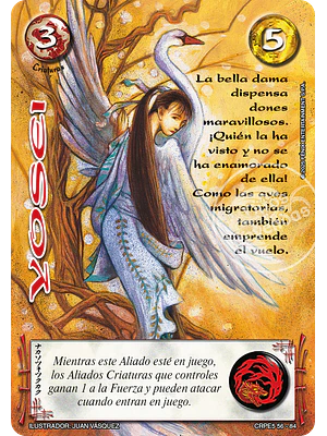 YOSEI - COLECCION RACIAL PE 2025 - SEGUNDA PARTE