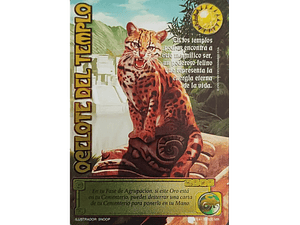 OCELOTE DEL TEMPLO (LPE4 - MR)