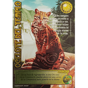 OCELOTE DEL TEMPLO (LPE4 - MR)