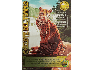 OCELOTE DEL TEMPLO (LPE4 - MR)