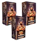 PREVENTA 3 RELATOS DE DOMINIOS DE RA - INVASORES - thumbnail 1