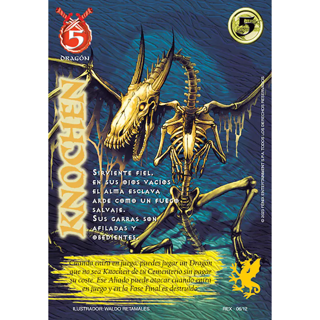 KNOCHEN (REX) 1