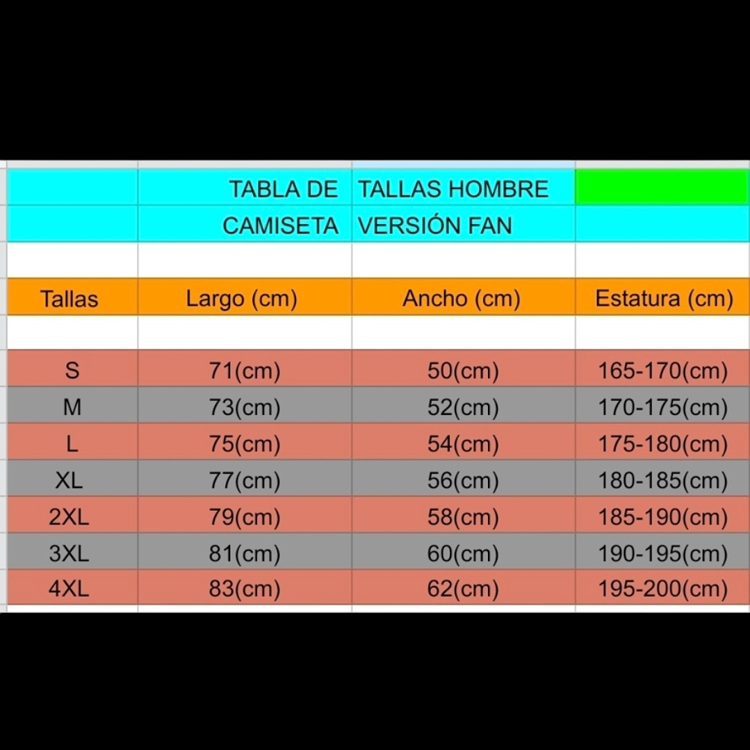 Camiseta  C.  S.  D.  Colo Colo  Hombre Visita  2024 Talla 