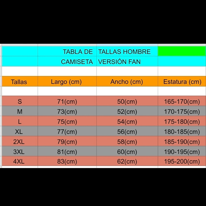 Camiseta  C.  F.  Universidad de Chile  Hombre Local  2024 Talla  