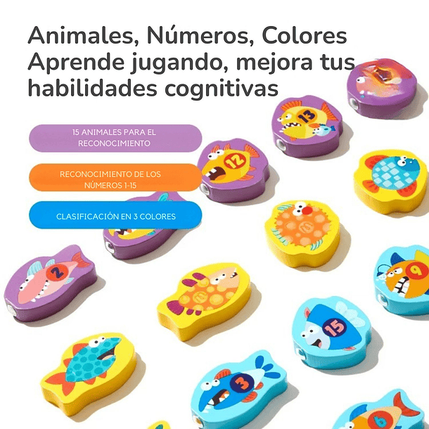 Pesca milagrosa magnética Mideer 3