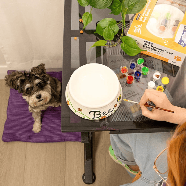 Kit de arte Bowl de cerámica para mascotas personalizable 2