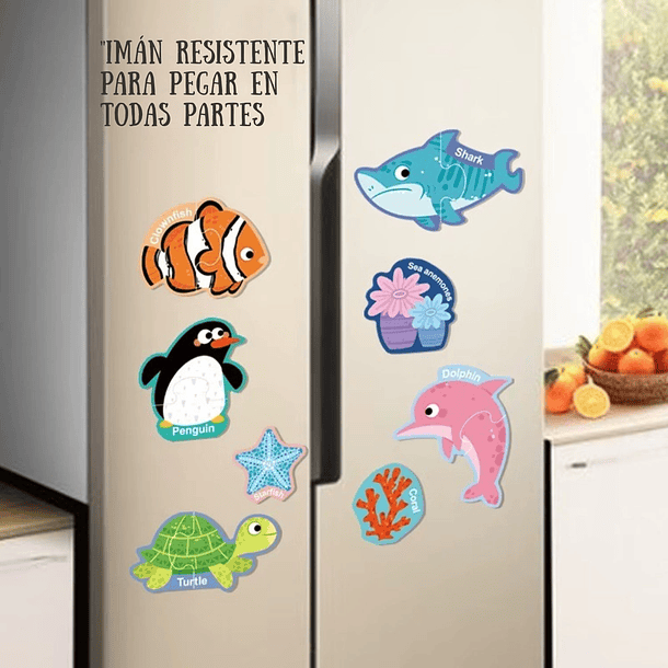 Set 17 Mini Puzzles Magnéticos De Animales Del Oceano 3