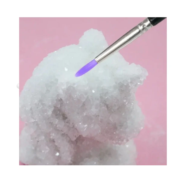 Kit Científico: Unicornio para Pintar y Cultivar Cristales Reales 4