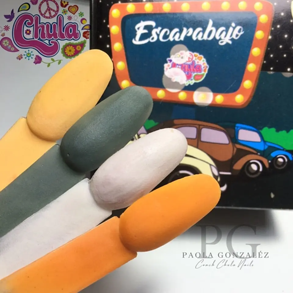 Colección de Acrílicos 4 colores Escarabajo 1