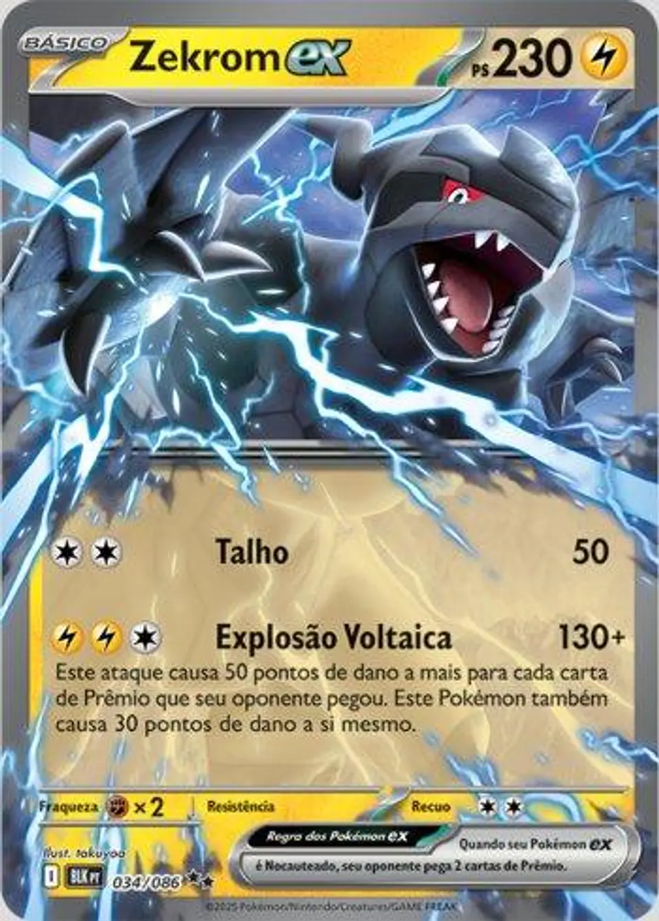 Zekrom Ex 1