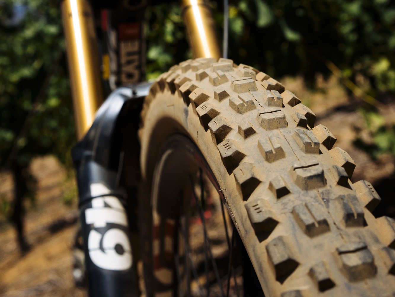 MAXXIS Neumático ASSEGAI 29X2.50 BIKE PARK ALAMBRE 2X60TPI