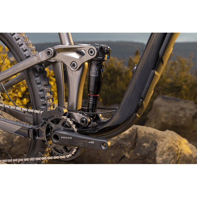 Bicicleta GIANT REIGN 2 