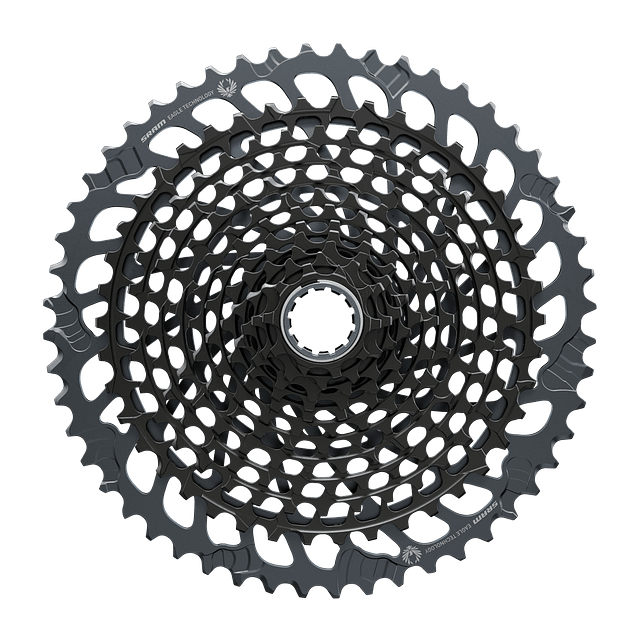 Piñon Sram xg-1295 Eagle 10-52t Blk