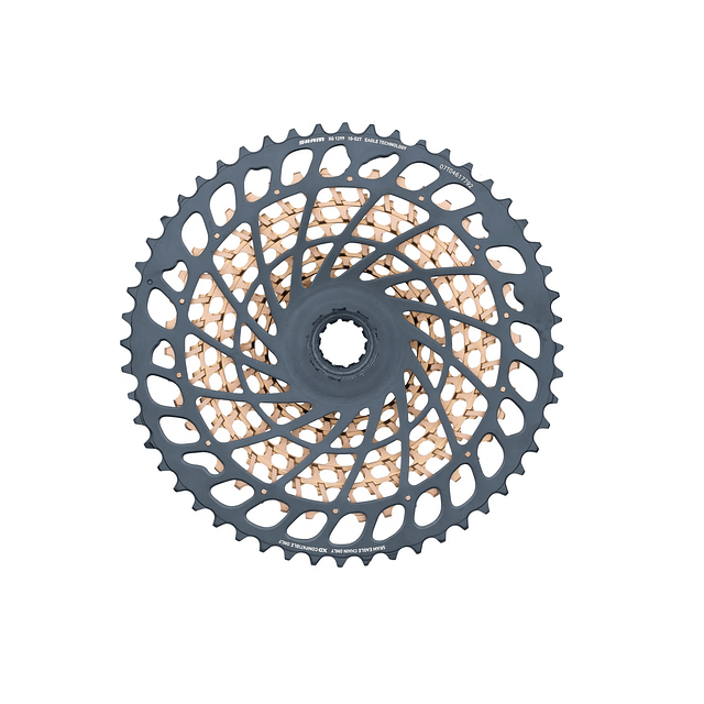 Piñon SRAM Eagle XX1 XD XG1299 10-52T Rainbow