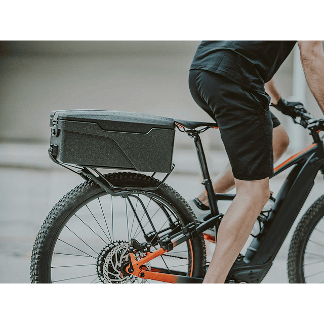 Bolso Topeak E-Explorer Térmico Baterías Ebike