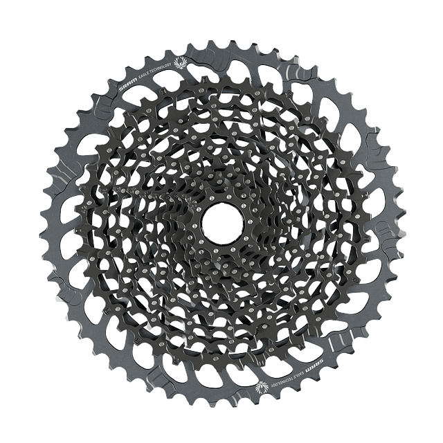 Piñon SRAM Eagle GX XD XG1275 10-52T 12V Negro