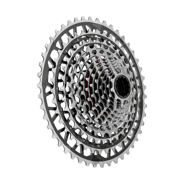 Piñón SRAM XPLR E1 XDR XG1391 10-46T 13V Negro