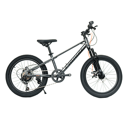 Bicicleta Royal Baby Crown MTB JR 7V 20" Aluminio Gris